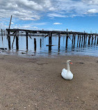 Seaside Wildlife Nature Park