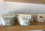 Lineage Coffee