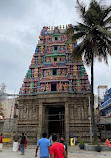 Sri Someshwara Swami Temple