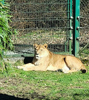 Salzburg Zoo Hellbrunn