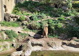 Salzburg Zoo Hellbrunn