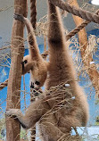 Salzburg Zoo Hellbrunn