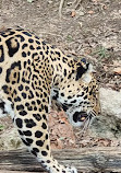 Salzburg Zoo Hellbrunn