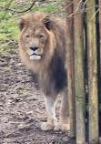 Salzburg Zoo Hellbrunn