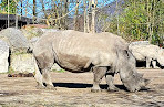 Salzburg Zoo Hellbrunn