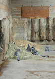 Salzburg Zoo Hellbrunn