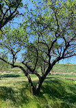 Feather River Parkway