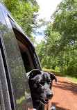 Caddo Lake National Wildlife Refuge