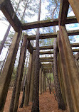 Caddo Lake National Wildlife Refuge