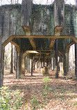 Caddo Lake National Wildlife Refuge