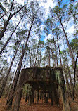 Caddo Lake National Wildlife Refuge