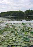 Caddo Lake National Wildlife Refuge