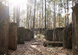 Caddo Lake National Wildlife Refuge