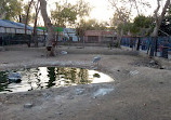 Korangi Zoo