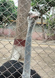 Korangi Zoo