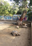 Korangi Zoo