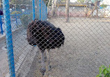 Korangi Zoo