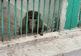 Korangi Zoo