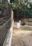 Korangi Zoo