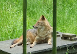 Tiergehege im Kaisergarten