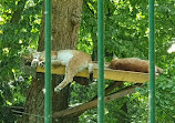 Tiergehege im Kaisergarten