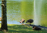 Tiergehege im Kaisergarten