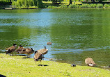 Tiergehege im Kaisergarten