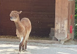 Tiergehege im Kaisergarten