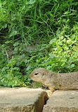 Tiergehege im Kaisergarten