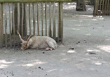 Tiergehege im Kaisergarten