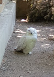 Tiergehege im Kaisergarten