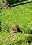 Tiergehege im Kaisergarten