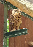 Tiergehege im Kaisergarten