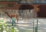 Tiergehege im Kaisergarten