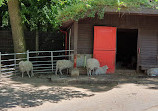 Tiergehege im Kaisergarten