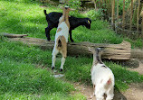 Tiergehege im Kaisergarten