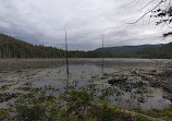 Killarney Lake Parking