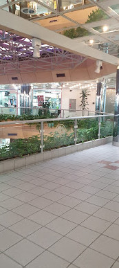 Jumaira Plaza