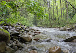 Mosquito Creek Trail