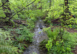 Mosquito Creek Trail