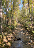 Mosquito Creek Trail