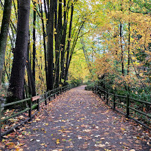 Mosquito Creek Trail