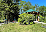 Seymour Conservation Forest Gazebo