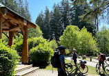 Seymour Conservation Forest Gazebo