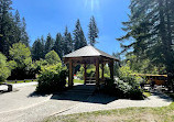 Seymour Conservation Forest Gazebo