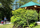 Seymour Conservation Forest Gazebo