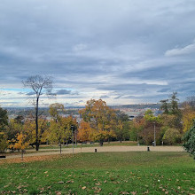 Riegrovy Sady