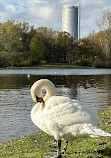 Freizeitpark Rheinaue