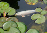 Japanese Garden Augsburg