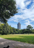 Wittelsbach Park large lawn